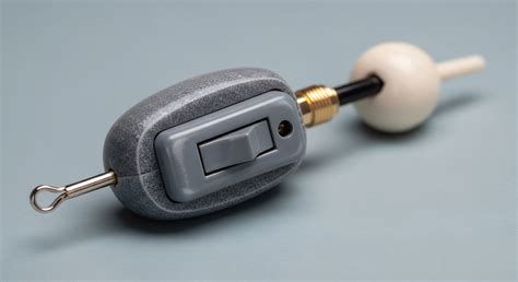 Fisheries Management Paradigms → Area