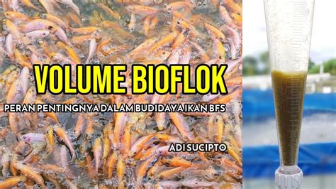 Mengungkap Rahasia Sukses Budidaya Ikan Dan Udang Volume Bioflok Dan