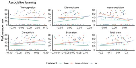 The Relationship Of Associative Learning Performance And Brain Download Scientific Diagram