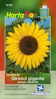 Details Semillas De Girasol Gigante Para Sembrar Abzlocal Mx