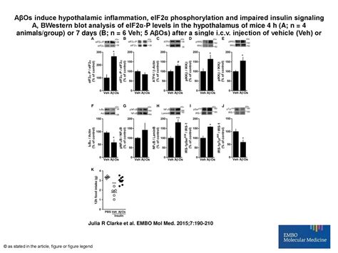 Aβos Induce Hypothalamic Inflammation Eif2α Phosphorylation And