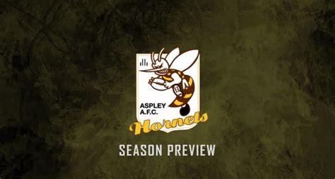 Aspley Hornets 2019 Bond University QAFLW Season Preview | AFL Queensland