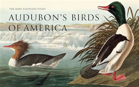 Audubon's Birds of America - Roger Tory Peterson, Virginia Marie Peterson