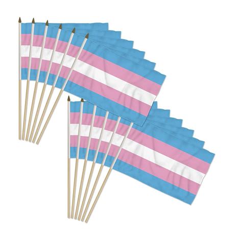 12 Pack Rainbow Transgender Pride Stick Flag 12x18 In