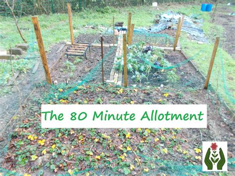 The Green Fingered Blog: Allotment planting plan - a step by step guide