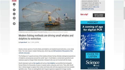 FISHING NETS GHOST DRIFT ARE KILLING MORE WHALES AND DOLPHINS THAT HARPOONS