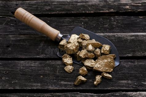 Gold Shovel At Groundbreaking Stock Photo Image Of Construction