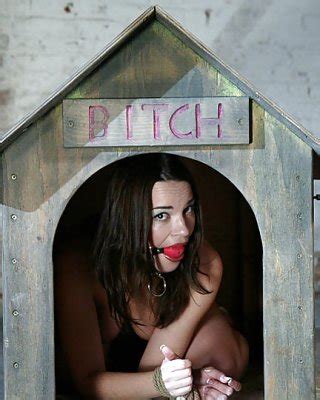 Ball Gagged Babes Mojitog Porn Pictures XXX Photos Sex Images PICTOA