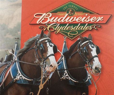 Budweiser Clydesdales Horses Bud Beer Image Tin Sign Man Cave Bar ...