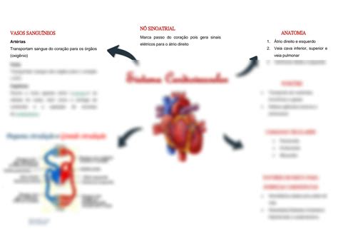 SOLUTION Sistema Cardiovascular Studypool