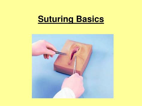 Ppt Suturing Basics Powerpoint Presentation Free Download Id861706