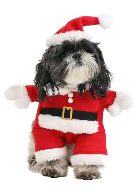 Santa Costume for Pets