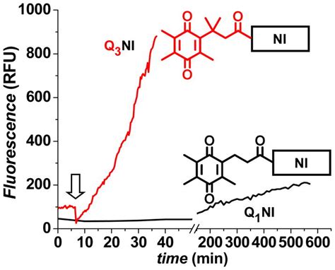 Profluorogenic Reductase Substrate For Rapid Selective And Sensitive