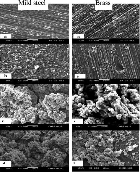 Semeds Analysis Of The Msbr Surface Coupons After Immersion At