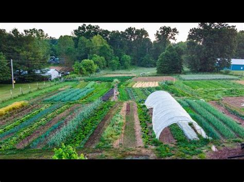 How to Start a Small Farm | A Step-by-Step Guide - Agri 🌿 Forestry ...