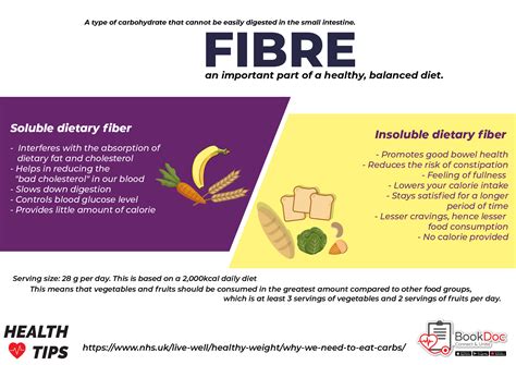 All About Fibre Bookdoc