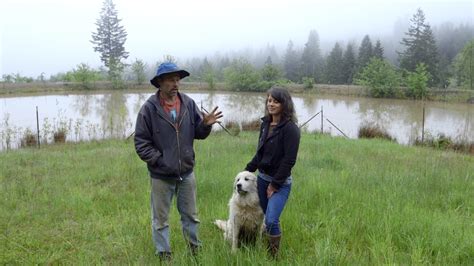 22 Cougar Mountain Farm Youtube