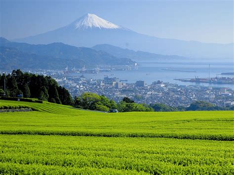 お茶のまち静岡市