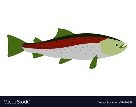 Brook Trout Cartoon