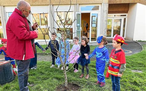 À Lannilis lart de la taille des arbres expliqué aux maternelles de l