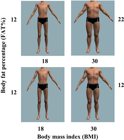 The male bodies represent different levels of BMI and Fat%. This figure ...