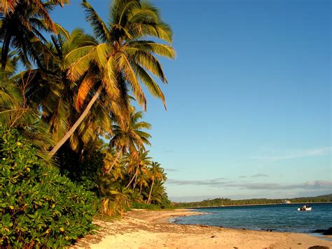 Fiji Islands Facts For Kids