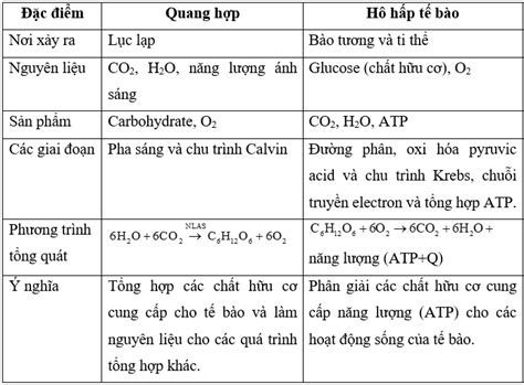 So sánh Quang Hợp và Hô Hấp Tế Bào Điểm Giống và Khác Nhau