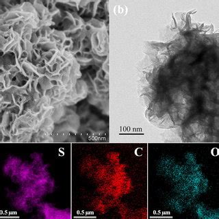 The SEM Image A TEM Image B And Elemental Mapping Images C Of