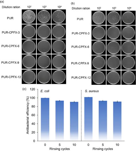 Antibacterial Activity Against A E Coli And B S Aureus Of Leather