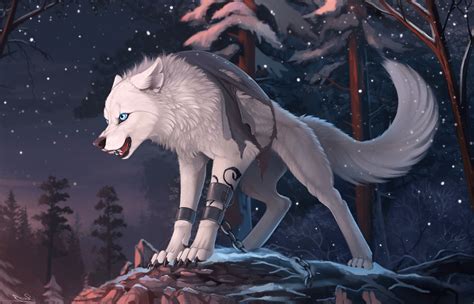 Anime Wolf Wallpapers - Top Free Anime Wolf Backgrounds - WallpaperAccess