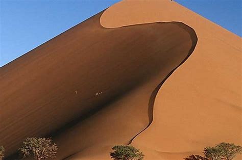 5 Reasons To Go Into The Namib Desert Namibia Safaris