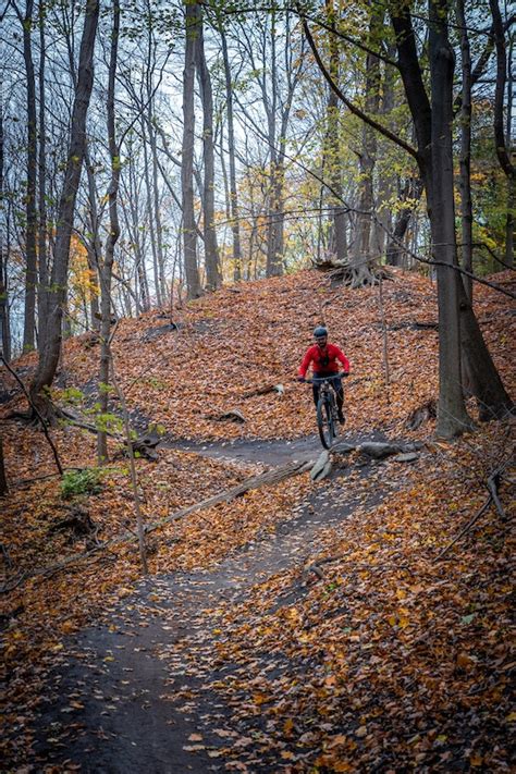 Don Valley Big North Loop Mountain Biking Route Trailforks