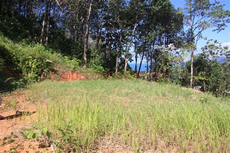 Beautiful Sea View Land For Sale North West Coast Koh Chang