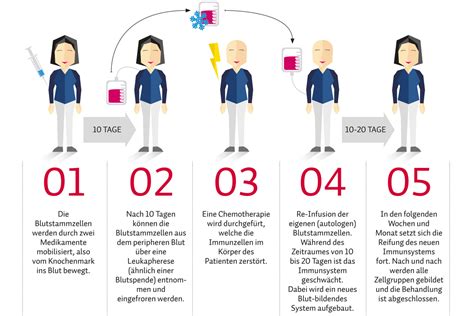 Autologe Stammzelltransplantation Schweiz MS Gesellschaft