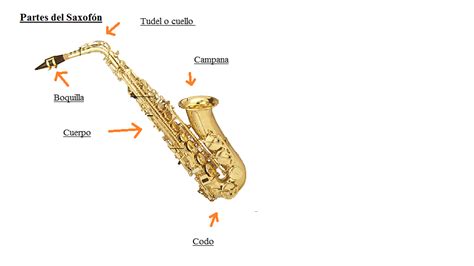 Sax Educativo Partes Del Saxofón