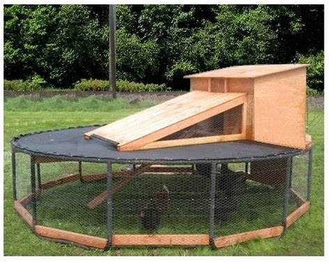 Creative Chicken Coop Projects The Owner Builder Network