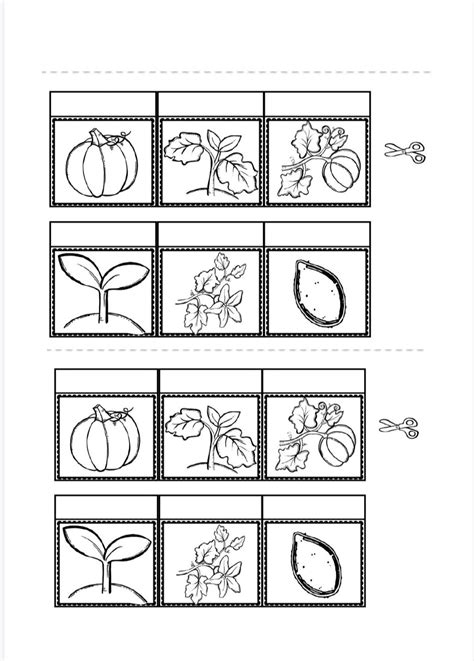 Pumpkin Life Cycle Worksheets Artofit