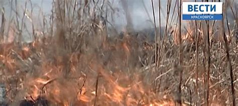 В Красноярском крае пожарные потушили первый | «Вести-Красноярск»