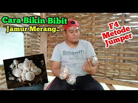 CARA MEMBUAT BIBIT JAMUR MERANG YouTube