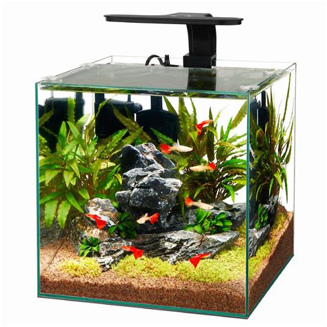 Aqueon Frameless Cube Aquarium 6 Gallon Petco Glass Jugs Crafts