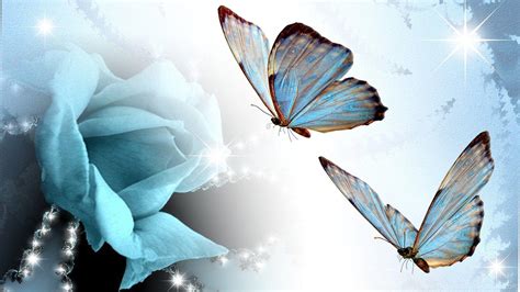 Blue Butterfly Desktop Wallpapers - Top Free Blue Butterfly Desktop ...