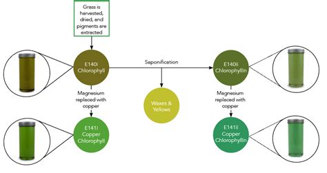 Chlorophyll & Chlorophyllin: What’s the Difference? - Givaudan Sense Colour