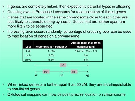 Ppt Beyond Mendel The Chromosomal Basis Of Inheritance Powerpoint