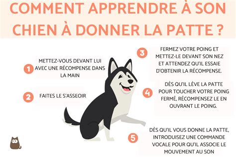 Comment apprendre à son chien à donner la patte