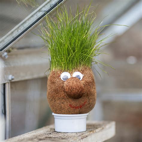 Tobar Mr Grasshead Toys Toy Street Uk