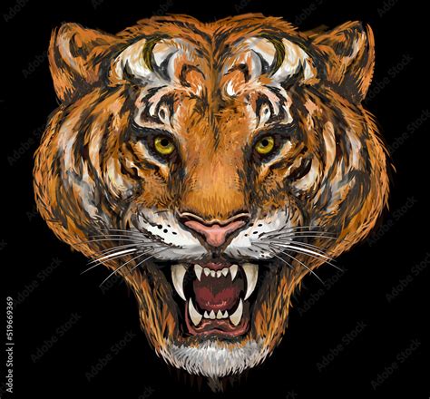 Angry tiger face. Color tattoo Stock Illustration | Adobe Stock