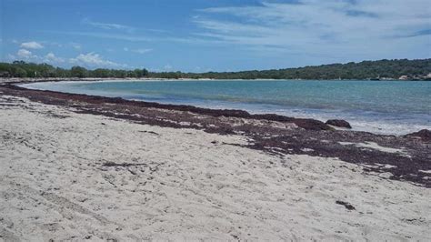 11 Best Cabo Rojo Beaches (By a Puerto Rico Local)