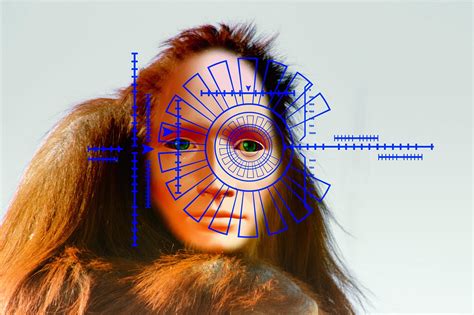 10000 Free Human Evolution And Human Photos Pixabay