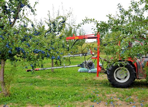 Tree Shaker PESTKA For Olives Plums Cherries JAGODA JPS