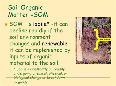 Ppt Lecture 10 A Soil Organic Matter Som Powerpoint Presentation